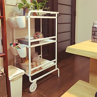 リビング/株分け/リメ缶/観葉植物/観葉植物のある暮らし...などのインテリア実例 - 2017-04-06 19:29:24