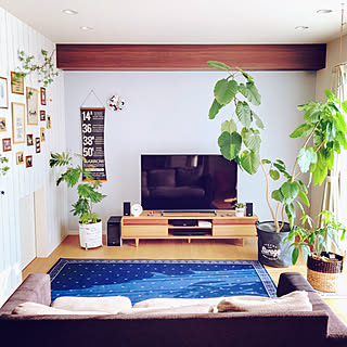 リビング/観葉植物/無印良品/ダイソー/100均...などのインテリア実例 - 2017-10-30 09:41:41