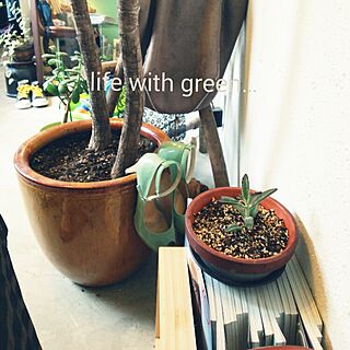 机/green/植物/リノベーション/漆喰壁...などのインテリア実例 - 2015-07-21 21:38:59