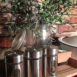 キッチン/100均/スパイスボトル/フェイクグリーン/冷蔵庫の上のインテリア実例 - 2013-12-04 23:41:57