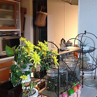 キッチン/調味料たち/お茶の葉/エアープランツ/植物...などのインテリア実例 - 2013-10-10 19:09:31