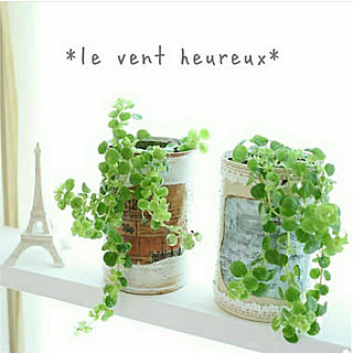 キッチン/リメ缶/ピレア・ディプレッサ/観葉植物/観葉植物のある暮らし...などのインテリア実例 - 2020-01-06 20:09:51