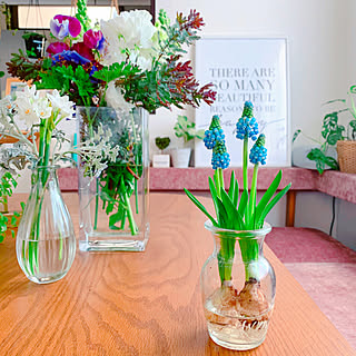 グリーンのある暮らし お花の定期便のインテリア実例 Roomclip ルームクリップ