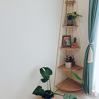 観葉植物 コーナーシェルフのインテリア実例 Roomclip ルームクリップ 観葉植物 コーナーシェルフのインテリア実例 Roomclip ルームクリップ