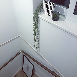 壁/天井/階段の窓/アルテック/イッタラ kivi/イッタラ...などのインテリア実例 - 2017-09-11 00:41:40