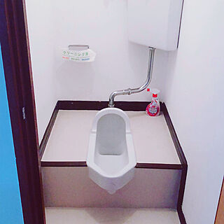 和式便器/和式トイレ/昭和レトロ/バス/トイレのインテリア実例 - 2019-09-03 12:52:02