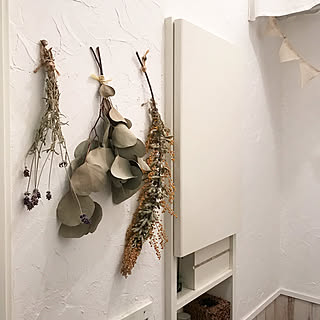 バス/トイレ/DIY/中古住宅/植物/インスタ→kiki_nekko...などのインテリア実例 - 2017-08-13 01:01:30