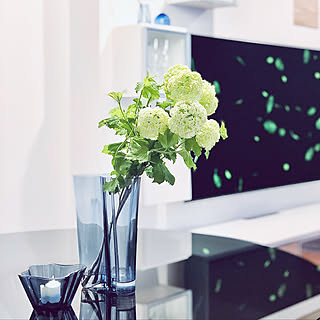 花瓶 スノーボールのインテリア実例 Roomclip ルームクリップ