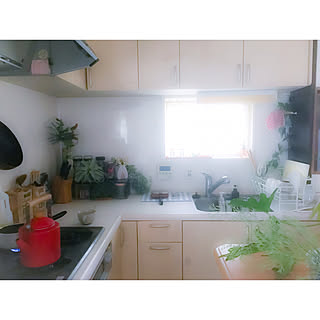 キッチン/おはようございます◡̈♥︎/山善/築10年/ありがとうございます(*˙︶˙*)☆*°...などのインテリア実例 - 2017-11-10 08:38:29