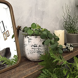 鉢をペイント 素焼き鉢リメイクのインテリア実例 Roomclip ルームクリップ