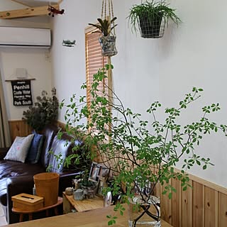 観葉植物 切花のインテリア実例 Roomclip ルームクリップ