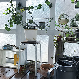 玄関/入り口/IKEA/多肉植物/じょうろ/ワイヤープランツ...などのインテリア実例 - 2017-09-26 07:24:19
