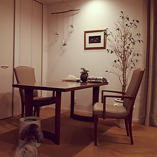 シンゴニウム ピンクバタフライのインテリア実例 Roomclip ルームクリップ