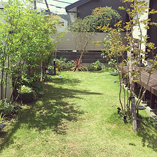 庭 サルスベリのインテリア実例 Roomclip ルームクリップ