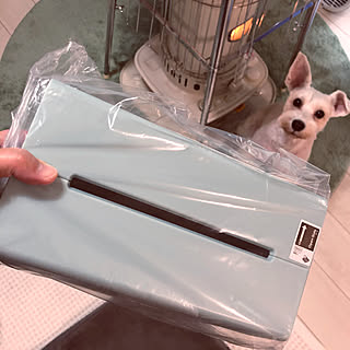 女性の、4LDK、家族住まいの「リビング」についてのインテリア実例