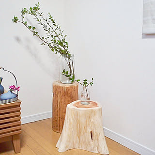 リビング オリーブの枝のインテリア実例 Roomclip ルームクリップ