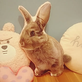 新商品買ったよ!/こどもと暮らす。/感謝です♡/工作/グラスジェムコーン部...などのインテリア実例 - 2019-01-12 21:36:45