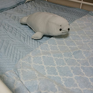 Home Coordy アザラシ抱き枕のインテリア実例 Roomclip ルームクリップ Home Coordy アザラシ抱き枕のインテリア実例 Roomclip ルームクリップ