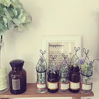 ワイヤー 空き瓶リメイクのおしゃれなアレンジ 飾り方のインテリア実例 Roomclip ルームクリップ