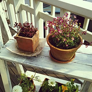 花棚のインテリア実例 Roomclip ルームクリップ