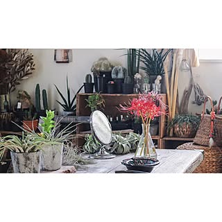 ドライフラワー 彼岸花のインテリア実例 Roomclip ルームクリップ