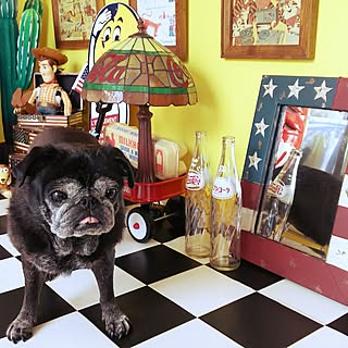 カラフル コカコーラ ペプシコーラのまとめページ Roomclip ルームクリップ