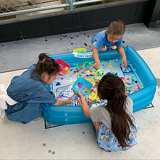 スーパーボールすくいのインテリア実例 Roomclip ルームクリップ