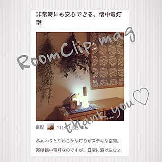 棚/LEDポリカーボネート懐中電灯/RoomClip mag 掲載/RoomClip mag/北欧...などのインテリア実例 - 2016-11-07 10:32:54