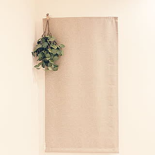 ユーカリ/窓/造花/シェードカーテン/IKEA...などのインテリア実例 - 2020-01-21 22:47:14