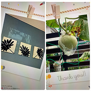 ファブリックパネル 壁紙シールdiyのインテリア 手作りの実例 Roomclip ルームクリップ