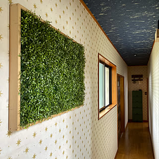 宇宙 壁紙のインテリア実例 Roomclip ルームクリップ