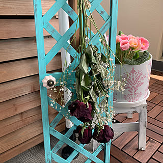 トレリスdiyのインテリア 手作りの実例 Roomclip ルームクリップ