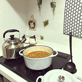 壁/天井/自立するお玉/無水カレー/壁天井ではありません/バーミキュラ 22#のインテリア実例 - 2019-01-18 20:39:32