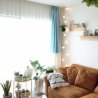 観葉植物 三日月ネックレスのインテリア実例 Roomclip ルームクリップ 観葉植物 三日月ネックレスのインテリア実例 Roomclip ルームクリップ