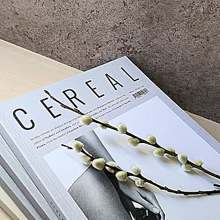 リビング/シンプルインテリア/ナチュラル/男前/salut!...などのインテリア実例 - 2020-02-24 09:51:05