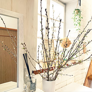 窓枠DIY/花のある暮らし/桜/ダイソーレンガシート/玄関diy...などのインテリア実例 - 2020-02-23 14:00:21