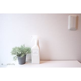 バス/トイレ/キッチン掃除/アルカリ電解水クリーナー/アルカリ電解水/無印良品のインテリア実例 - 2017-05-01 19:25:47