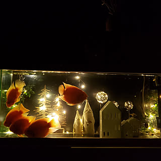 アクアリウム ライトアップのインテリア実例 Roomclip ルームクリップ