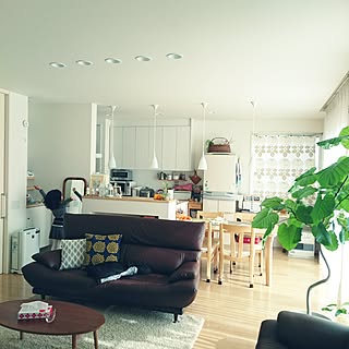 部屋全体/marimekko/北欧/観葉植物/ウンベラータ...などのインテリア実例 - 2015-12-29 12:52:24