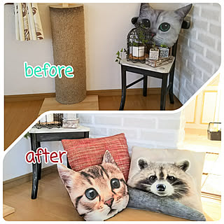 セリア ダイソー猫クッションのインテリア実例 Roomclip ルームクリップ