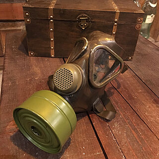 ガスマスクのインテリア実例 Roomclip ルームクリップ