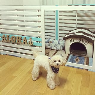 犬小屋 犬小屋diyのインテリア 手作りの実例 Roomclip ルームクリップ