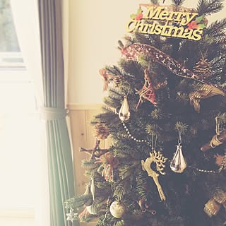 女性の、、の「リビング」についてのインテリア実例