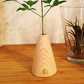 エアプランツ 試験管の一輪挿しのインテリア実例 Roomclip ルームクリップ