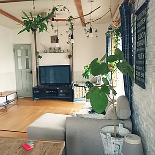 玄関/入り口/いいね!ありがとうございます♪/古板/コウモリラン苔玉/セルフリノベーション✩*॰¨̮...などのインテリア実例 - 2017-04-22 13:23:40