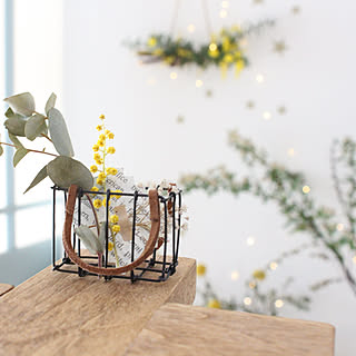 ワイヤークラフト 花のある暮らしのインテリア実例 Roomclip ルームクリップ