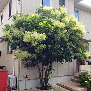 男性の、4LDK、家族住まいの「ベッド周り」についてのインテリア実例