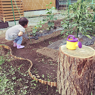 芝の根止めのインテリア実例 Roomclip ルームクリップ