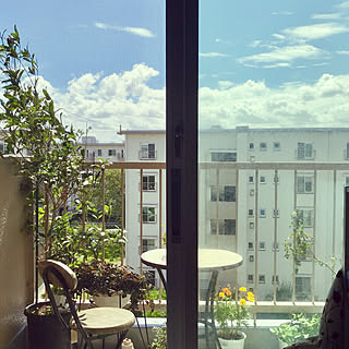 キンモクセイのインテリア実例 2ページ目 Roomclip ルームクリップ