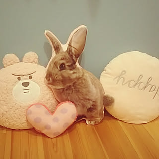 部屋全体/10分でできる/ありがとうございます♡/工作/グリーン同盟❤...などのインテリア実例 - 2019-01-12 21:47:56